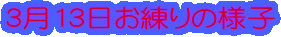 313̗lq