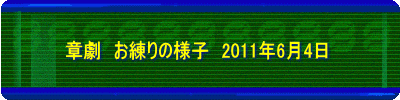 ͌@̗lq@2011N64 